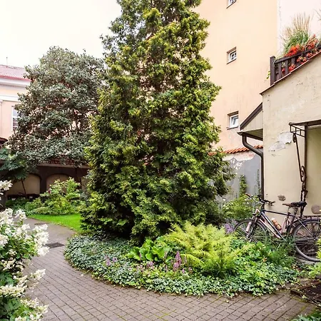 Saint John's 2 Bedr Vilnius