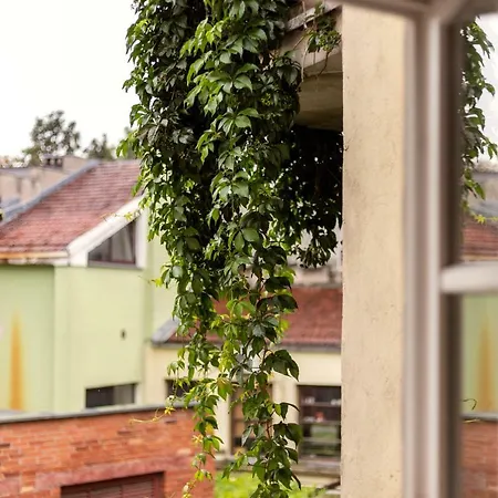 Apartment Saint John's 2 Bedr *